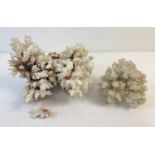2 pieces of vintage white branch coral, one a/f. Largest piece approx. 22cm x 14cm.