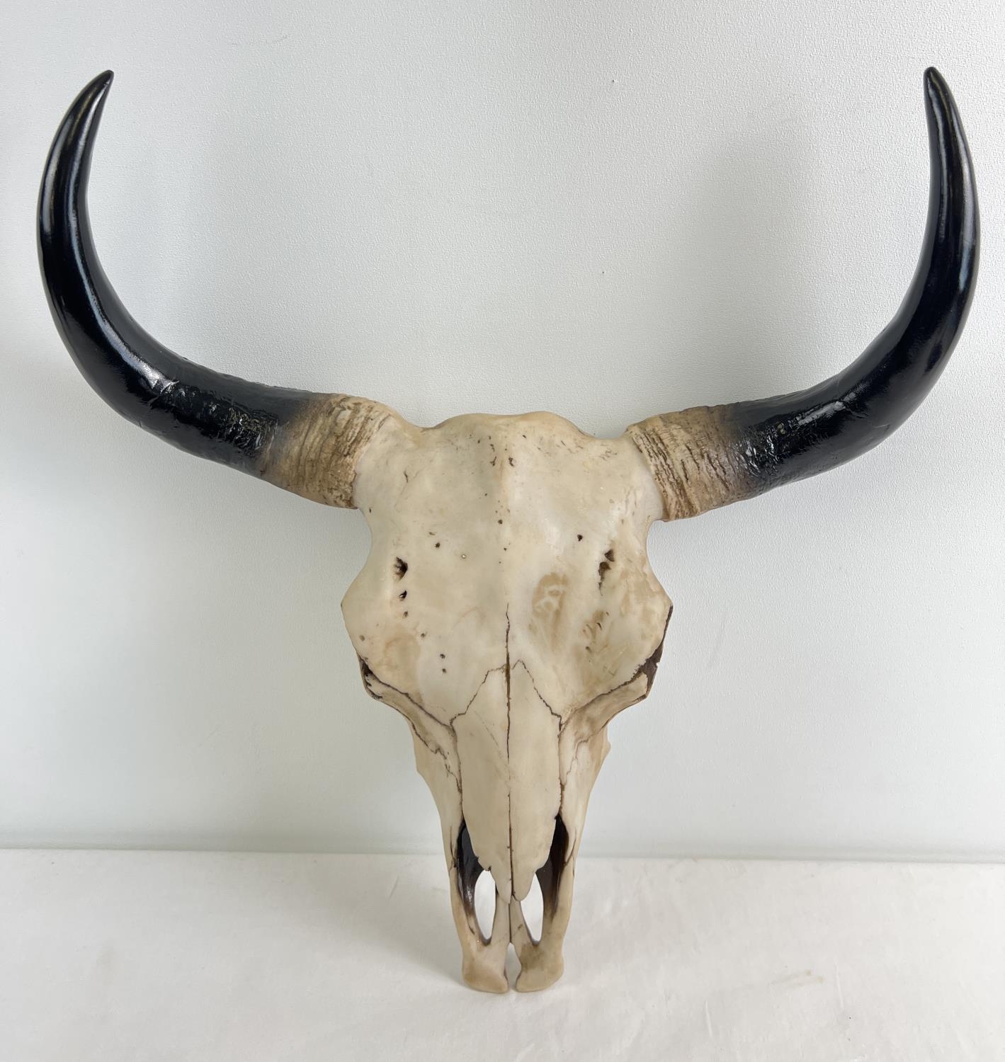 A large modern resin wall mountable ornament of a buffalo skull and horns. With metal fixing plate