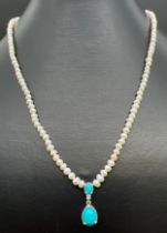 An 18 inch seed pearl necklace with turquoise drop and silver clasp. Silver marks to clasp and