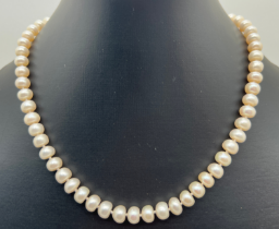 A 16 inch freshwater pearl necklace with silver lobster style clasp. Silver mark to clasp.