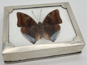 An Edwardian silver mounted butterfly paperweight, unmarked but possibly a Denton's Patent Butterfly