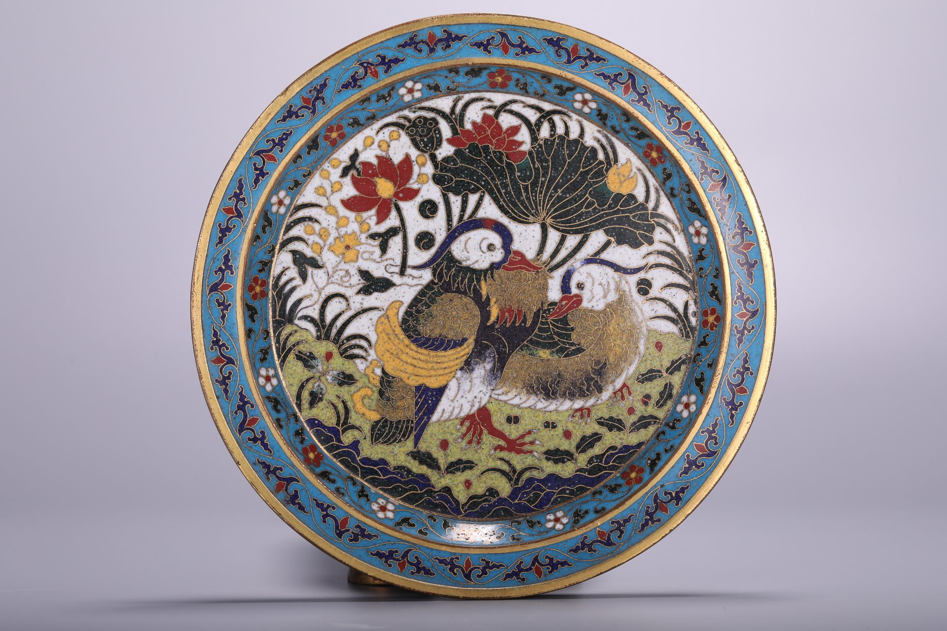 A Chinese cloisonne enamelled Jingtailan bronze 'Birds in garden' plate, Dia 19,5 cm - Image 2 of 3