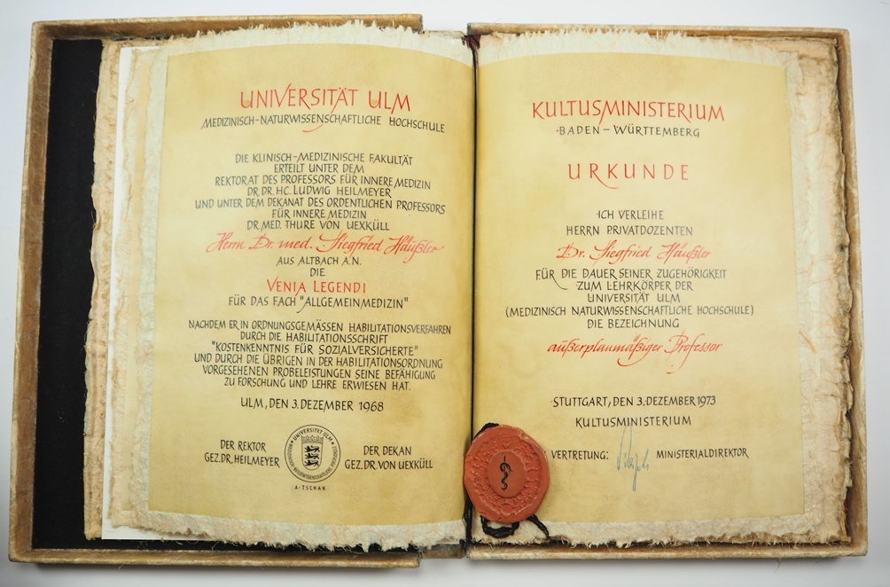 BRD: Bundesverdienstorden, Großes Verdienstkreuz mit Stern Urkunde eines Medizin Professors. - Image 6 of 8