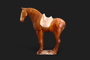 A Brown Glazed Pottery Horse with Saddle, Tang dynasty, the noble muscular beast well modelled,