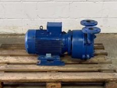 LEMA Single Stage Liquid Vacuum Pump