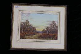 Anthony Dugdale (20th Century) 'Autumn Birch and Bracken, near Fritton', signed, watercolour 26 x
