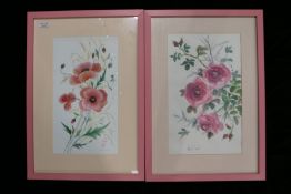 Kit Nicol (20th Century), Flower Studies, pair of watercolours, both signed, 40 x 23cm (2)
