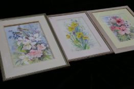 Kit Nicol (20th Century), Flower Studies, group of three watercolours, all signed, various sizes (