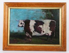 English School (19th century) Portrait of a prize longhorn cow, modelled standing in a landscape,