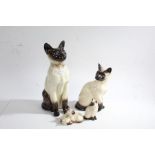 Four Beswick Siamese cat figures, the largest 35cm tall (4)