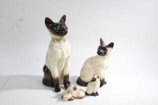 Four Beswick Siamese cat figures, the largest 35cm tall (4)
