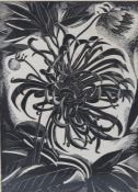 John Farleigh (British, 1900-1965) Dahlia signed and numbered 4/50 (to lower margin), lithograph