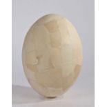 Giant Elephant Bird egg (Aepyornis maximus), extinct, the egg reconstructed from shards found in