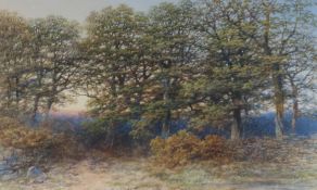 Peter Deakin (1830-1899) Woodland Scene, signed (lower left), watercolour 32 x 52cm