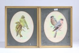 Marie MacDonell 'Bullfinches' and 'Greenfinches' a pair, each signed an titled (lower right, and