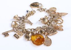 9 carat gold charm bracelet, to include heart shaped lockets and various items and animals, most