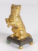 19th century gilt bronze patinated study of a Terrier, modelled with fore-legs raised, set on a