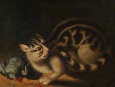English School (19th Century) Scaredy Cat oil on canvas 33 x 44cm (13'' x 17.5'')
