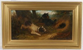 Attributed to George Armfield (British, 1808-1893) Terriers Ratting oil on canvas 30 x 60cm (12" x