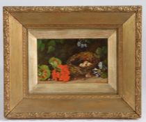 English School (19th Century) Still Life of Birds Nest and Flowers indistinctly signed (lower