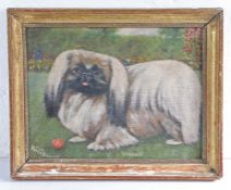 Eva Yates Badley, 20th Century depiction of a Pekinese dog "Queenie", oil on canvas laid onto board,