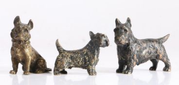 Three Austrian cold painted bronzed studies of terrier dogs, the largest 9.5cm wide