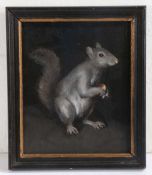 English School (19th Century) Grey Squirrel oil on panel 24 x 19cm (9.5'' x 7.5'')