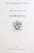 A Picturesque Tour of the Island of Jamaica