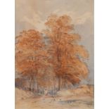 Circle of John Sell Cotman (British, 1782-1842) Woodland Path Through Beech watercolour 33 x 24cm (
