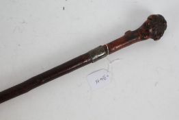 Burr wood and silver walking stick, with a heavily burred pommel above a silver collar, 89cm long