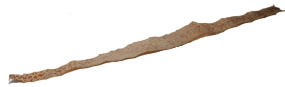 Python snakeskin, approx.304cm long