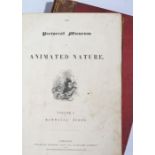 Charles Knight, The Pictorial Museum Animated Nature, Volume I Mammalia Birds, and Volume II