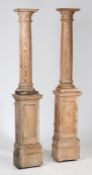 Pair of 19th century stripped pine columns, of architectural form, each column raised on square