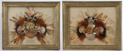 Pair of late Victorian shell and dried flower arrangements, each with a poem entitled 'Ocean