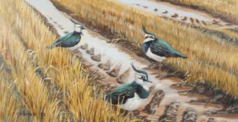 Gary Peerless (British, 20th Century) Lapwings in a Field signed and dated '92 (lower left), oil