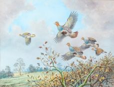 Carl Donner (British, b.1957) 'Partridge over an Autumn Hedge' signed (lower right), watercolour