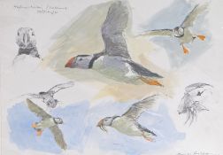 Bruce Pearson S.W.L.A (British, Born 1950) Puffins signed (lower right), further inscribed '