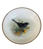 Royal Worcester miniature porcelain pin dish decorated with Blackbird, signed W Powell, 7cm