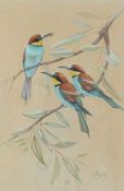 Valerie Shirley (British, 20th Century) 'Bee-Eaters' signed (lower right), watercolour 43 x 30cm (