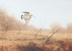 Ben Hoskyn (British, b.1963) Snipe in Flight signed (lower right), watercolour 39 x 55cm (15.5" x