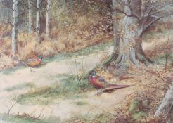 Philip Rickman (British, 1891-1982) 'A Sunny Bank Partridges', 'Woodcock - Luman Bay' & 'Pheasants