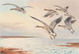 John Cyril Harrison (British, 1898-1985) 'Mallard Alighting signed (lower right), watercolour 23 x