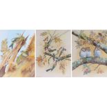 Alan Fairbrass (20th Century), Goldfinches, Greenfinches and Tawny Owls, three watercolour and