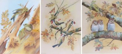 Alan Fairbrass (20th Century), Goldfinches, Greenfinches and Tawny Owls, three watercolour and