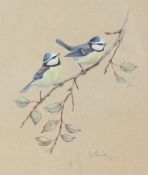 Valerie Shirley (British, 20th Century) 'Blue Tits' signed and dated '75 (lower right),