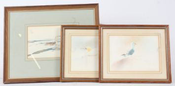 Paul Phillips (British, 20th Century) 'Gannet', 'Kittiwake' & 'Red-Throated Diver' all signed and