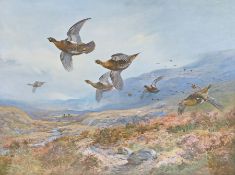 Archibald Thorburn (British, 1860-1935) Grouse in Flight signed in pencil (lower left), coloured