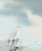Gyr Falcon by Bryan Reed