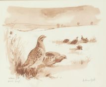 William Garfitt (British, b.1944) Partridge signed (lower right), artists proof 18 x 22cm (7" x 8.