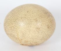 A Victorian Ostrich egg